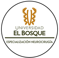 Universidad del Bosque